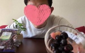 セブンイレブンの冷凍フルーツ全8種類食べ比べしてみた 値段やカロリーと口コミ コスパ最強